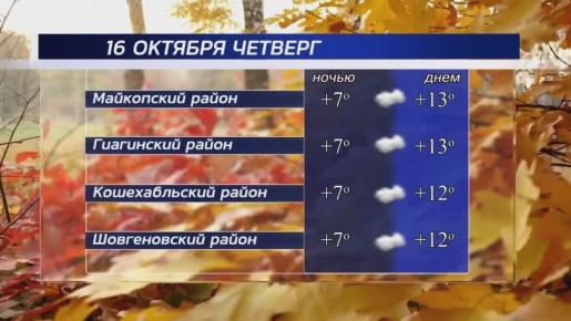  , !.    , 16 