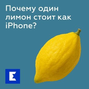      iPhone?