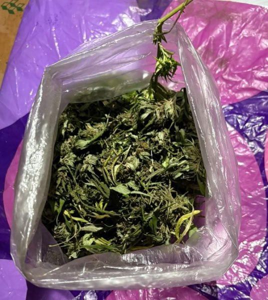 В Адыгее оперативниками УНК МВД из незаконного оборота изъята крупная партия наркотиков