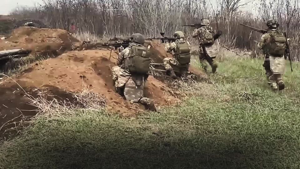 Служба по контракту — это: