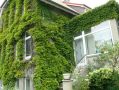 10 распространённых ошибок, которые могут навредить вашему дому