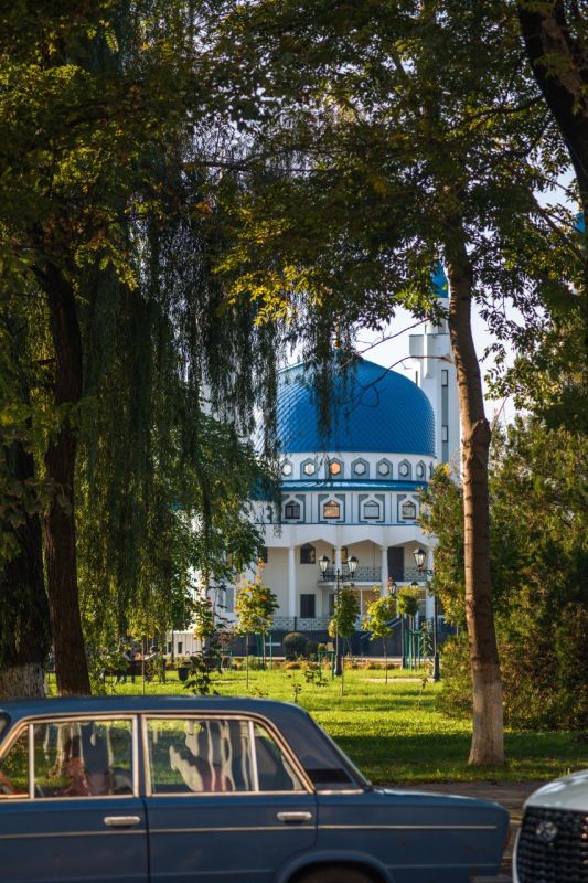 В столице Адыгеи наступила по-настоящему «золотая» осенняя пора