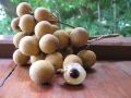 Лонган: загадочный фрукт с магическим именем, который стоит попробовать