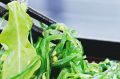 Действительно ли салат из морских водорослей состоит из настоящих водорослей: что там на самом деле