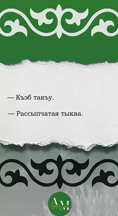 #родной_языкАМ