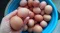 Почему жители деревни предпочитают покупать мясо в магазине, а не у местных фермеров?