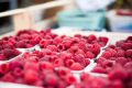 Малина: рецепты вкусных блюд, которые можно приготовить из ягоды