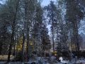 Когда пересаживать огурцы: советы по преодолению холодов