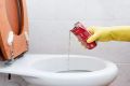 9 креативных методов очистки унитаза без химии