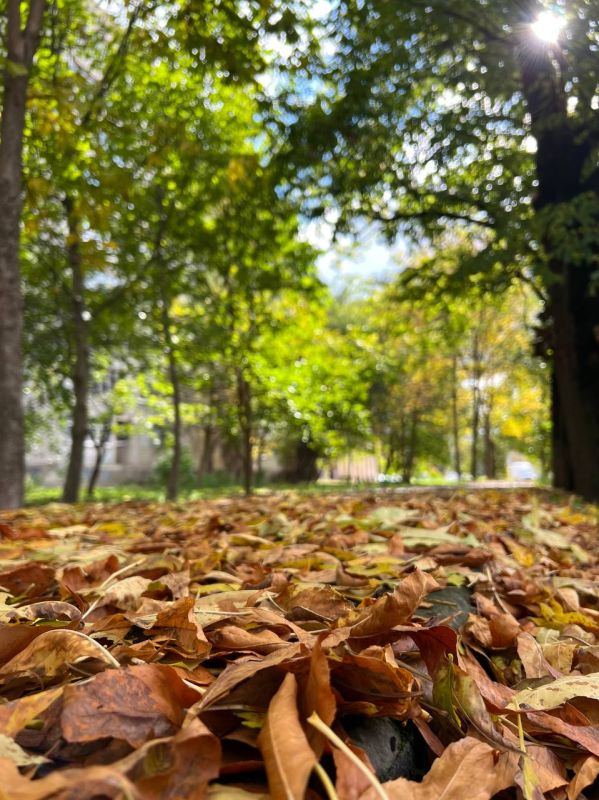    .      +8 +18 C.  1-3 /,   8 /