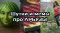 Арбузы 2025: как выбирать идеальный плод и стать мастером летнего настроения
