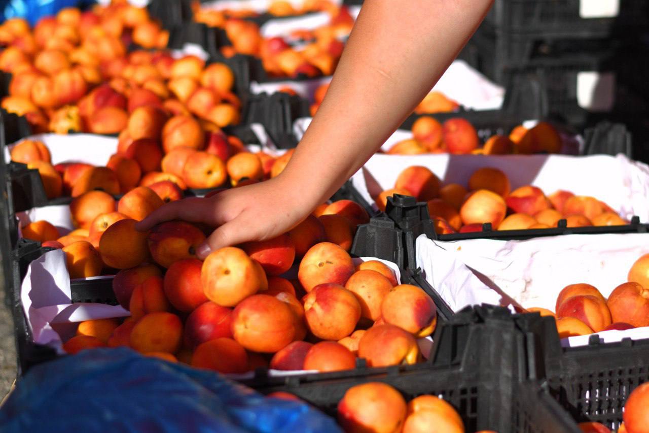 Приглашаем на ярмарки выходного дня! Приглашаем на ярмарки выходного дня!