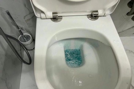 Зачем класть лавровый лист в унитаз: секрет продвинутых хозяек