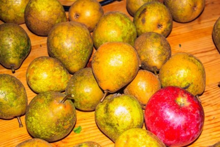 Яблоки vs груши: какая фруктовая королева лучше для пирогов: вердикт кулинарного суда