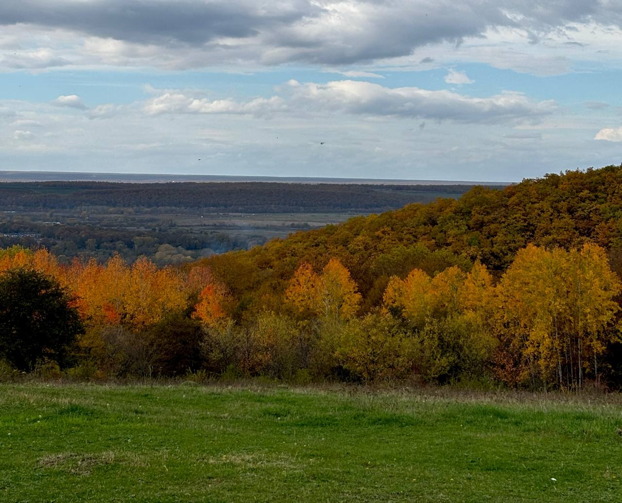 Ученый из Адыгеи разработал способ определения ажурности лесополос