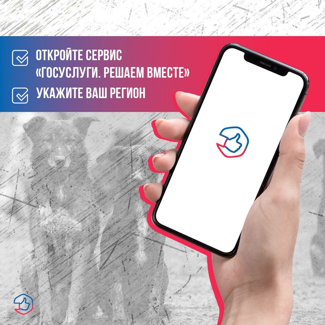 Что делать, если обнаружили агрессивную бродячую собаку? Что делать, если обнаружили агрессивную бродячую собаку?