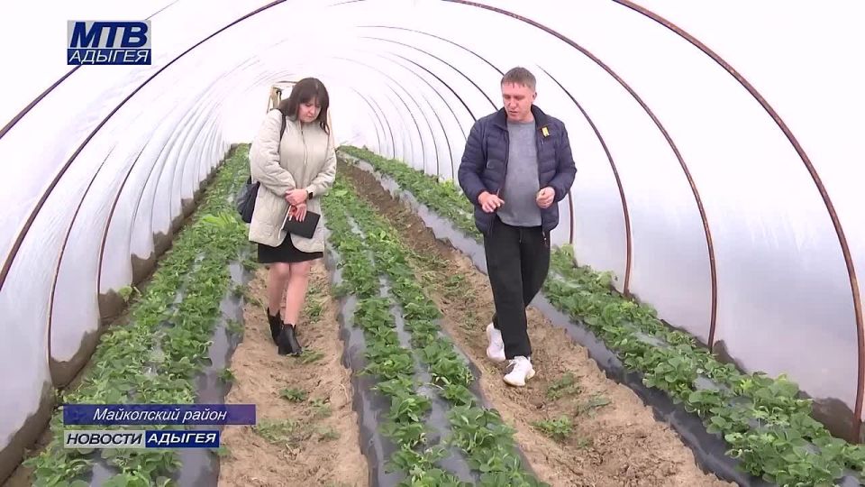 Существенной поддержкой сельхозпроизводителей является предоставление субсидий по индивидуальной программе социально – экономического развития республики