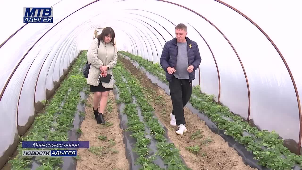 Существенной поддержкой сельхозпроизводителей является предоставление субсидий по индивидуальной программе социально – экономического развития республики