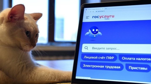 Как узнать владельца квартиры соседа: легальные способы в 2025 году