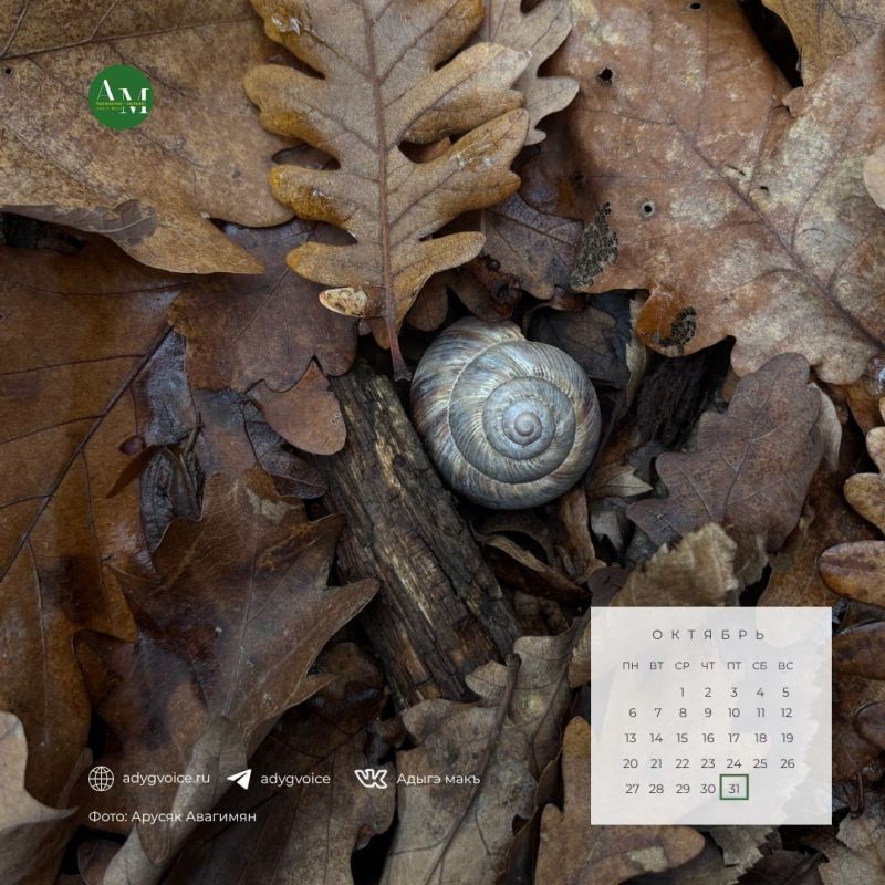 Доброе утро!. 31 октября в Адыгее ожидается солнечная погода