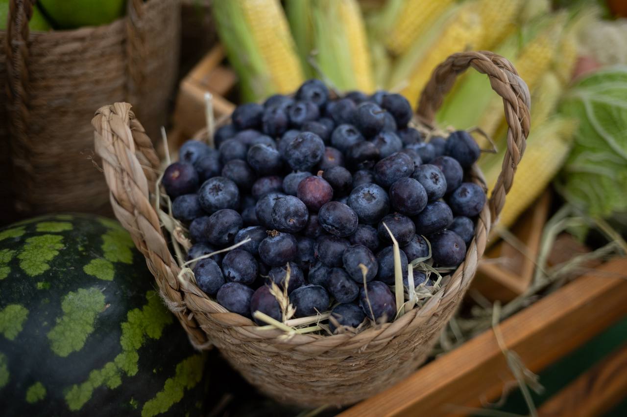 Мурат Кумпилов поздравил аграриев Адыгеи с рекордным по стране урожаем пшеницы Мурат Кумпилов поздравил аграриев Адыгеи с рекордным по стране урожаем пшеницы