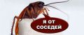 Когда соседи становятся настоящими «врагами»: как бороться с тараканами и получить компенсацию
