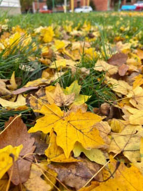 Сегодня в Адыгее переменная облачность, без осадков