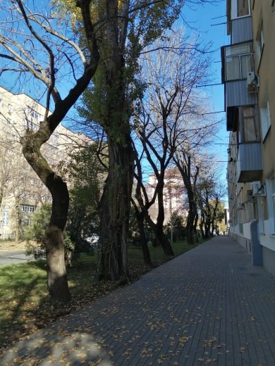 Отличная погода, чтобы отметить праздник прогулкой по Майкопу!