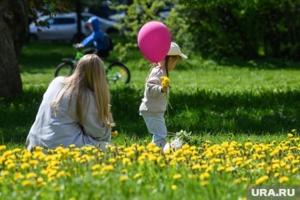Позиция Госдумы по абортам: стабильность и поддержка женщин