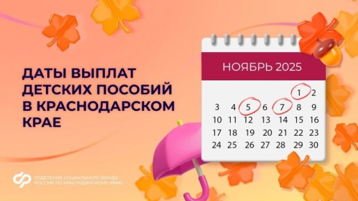 Ноябрьские выплаты: когда ждать пособия и как избежать проблем