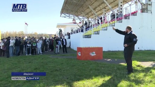 Дню народного единства приурочили фестиваль национальных игр «Единство народов»