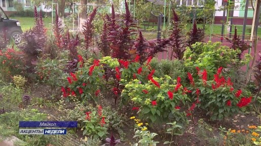 Активных домовладельцев Адыгеи приглашают к участию во Всероссийском конкурсе «Лучший дом. Лучший двор»