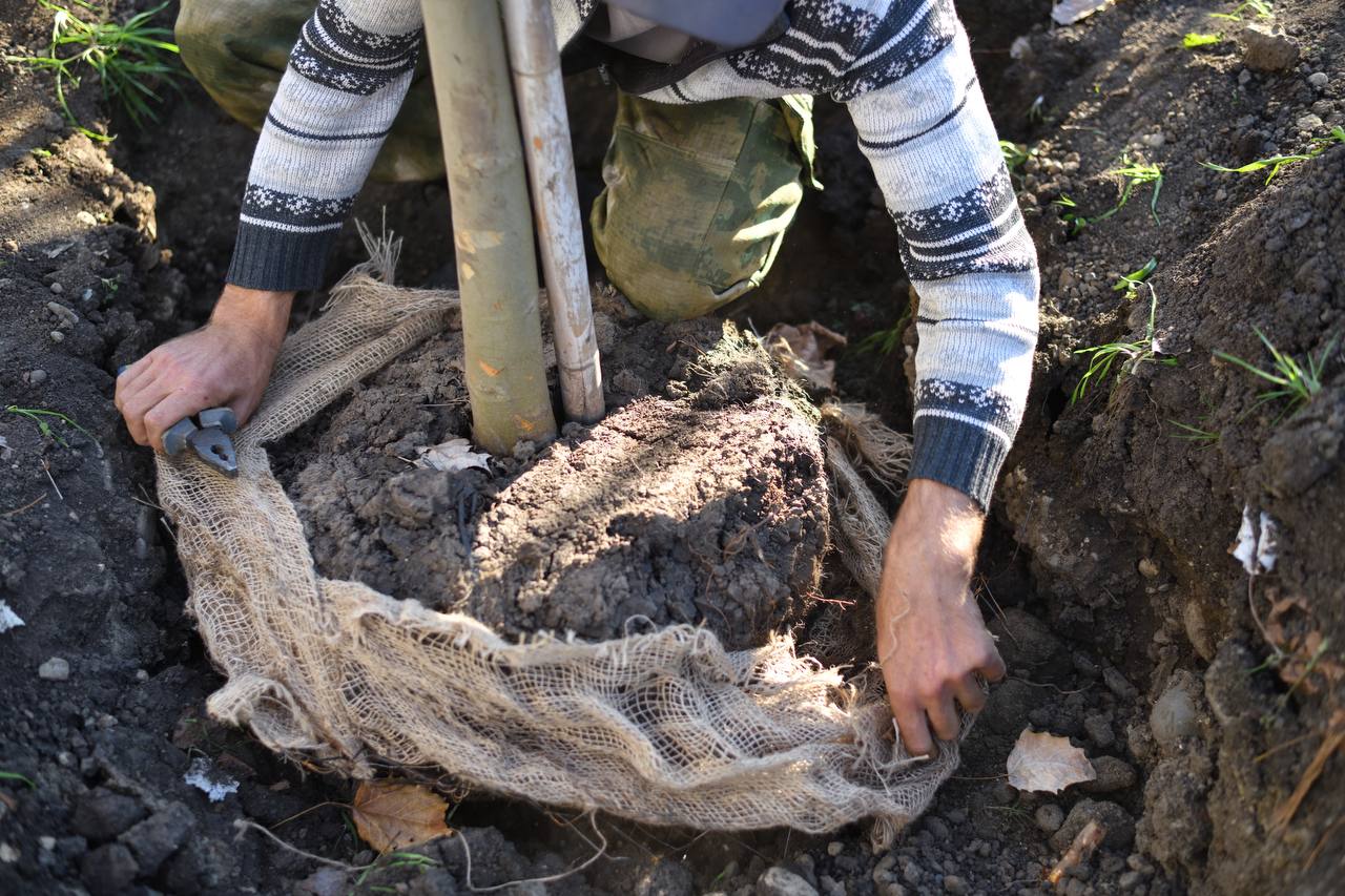 Геннадий Митрофанов: Майкоп присоединился к всероссийской акции «Сохраним лес» нацпроекта «Экологическое благополучие» Геннадий Митрофанов: Майкоп присоединился к всероссийской акции «Сохраним лес» нацпроекта «Экологическое благополучие»
