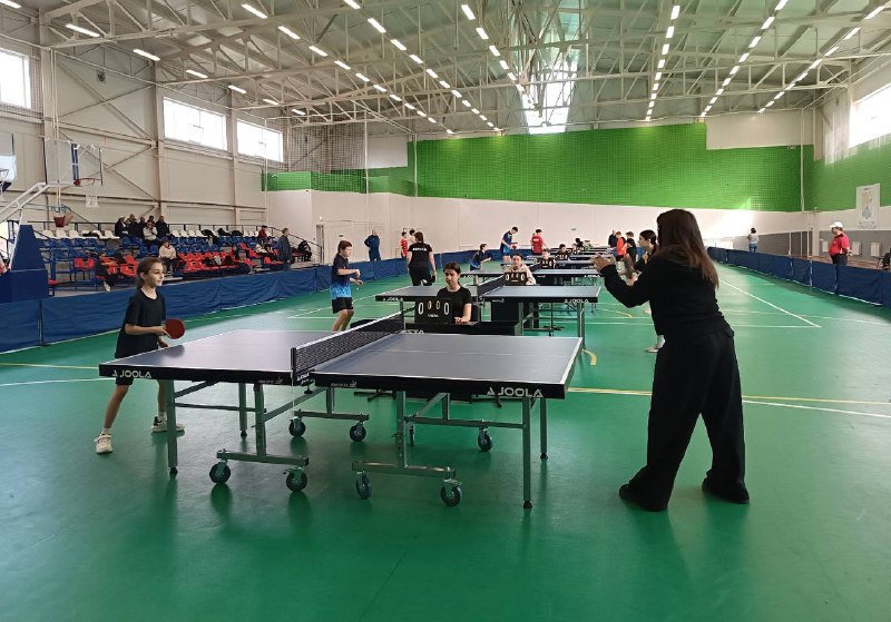 Воспитанники майкопских спортивных школ завоевали комплект наград на первенстве Адыгеи Воспитанники майкопских спортивных школ завоевали комплект наград на первенстве Адыгеи