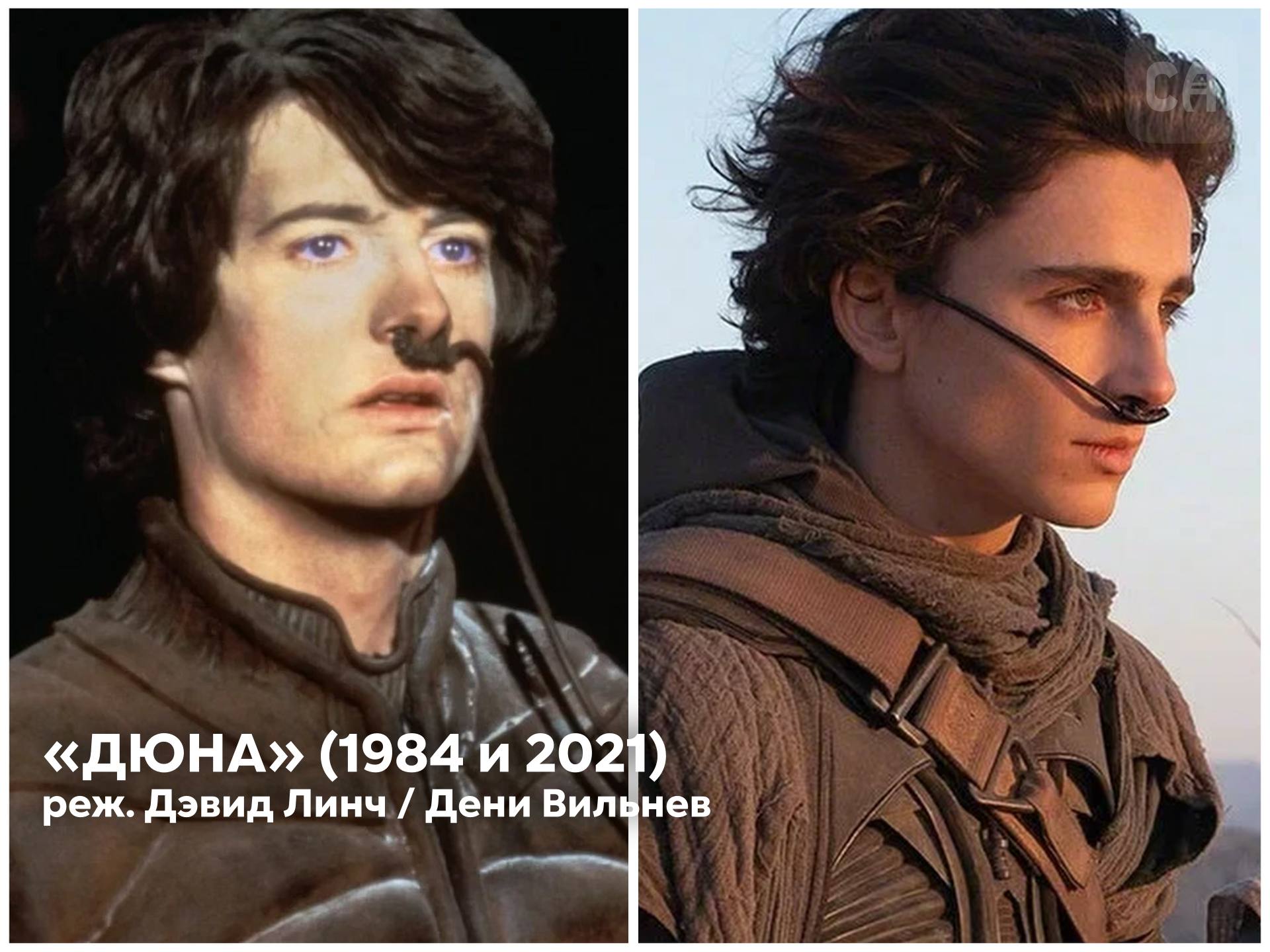 Спорим, вы не знали, что это фильмы-ремейки? К выходу «Бугонии» Йоргоса Лантимоса делимся подборкой лучших ремейков «Лицо со шрамом» (1983). Ремейк одноименного фильма 1932 года о жестоком Тони Монтана, подчиняющем себе... Спорим, вы не знали, что это фильмы-ремейки? К выходу «Бугонии» Йоргоса Лантимоса делимся подборкой лучших ремейков «Лицо со шрамом» (1983). Ремейк одноименного фильма 1932 года о жестоком Тони Монтана, подчиняющем себе...