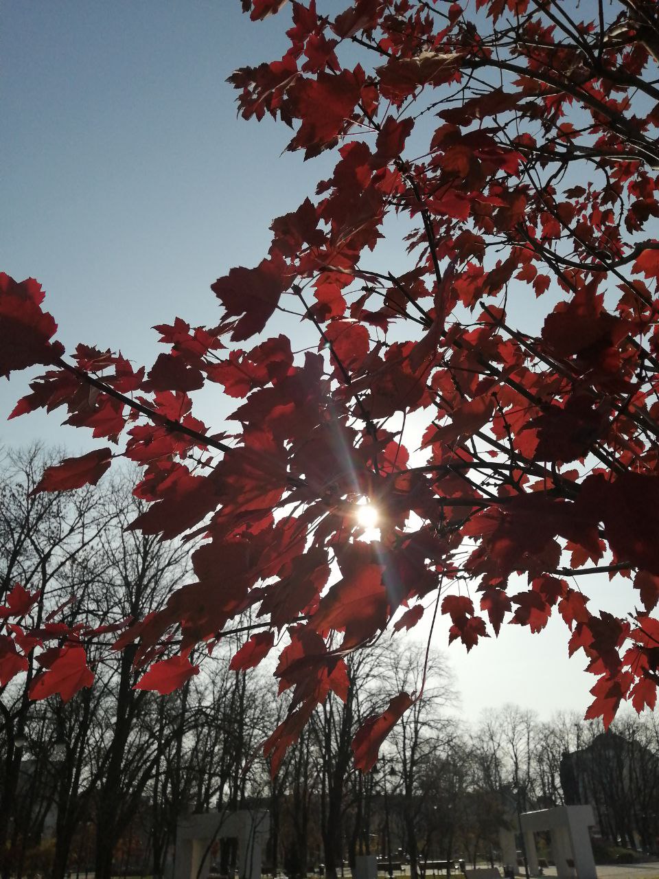 Отличная погода, чтобы устроить прогулку по Майкопу в воскресенье! Отличная погода, чтобы устроить прогулку по Майкопу в воскресенье!