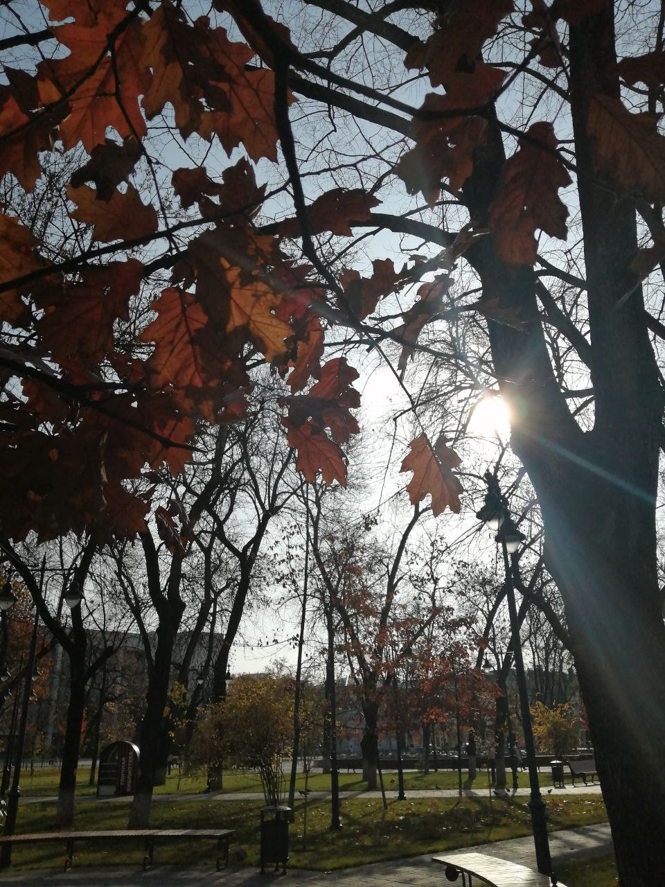 Отличная погода, чтобы устроить прогулку по Майкопу в воскресенье! Отличная погода, чтобы устроить прогулку по Майкопу в воскресенье!