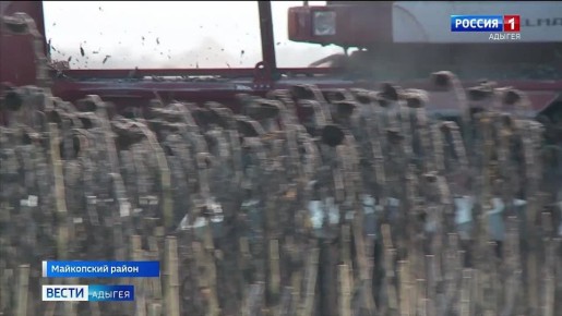 В Адыгее завершается уборка подсолнечника