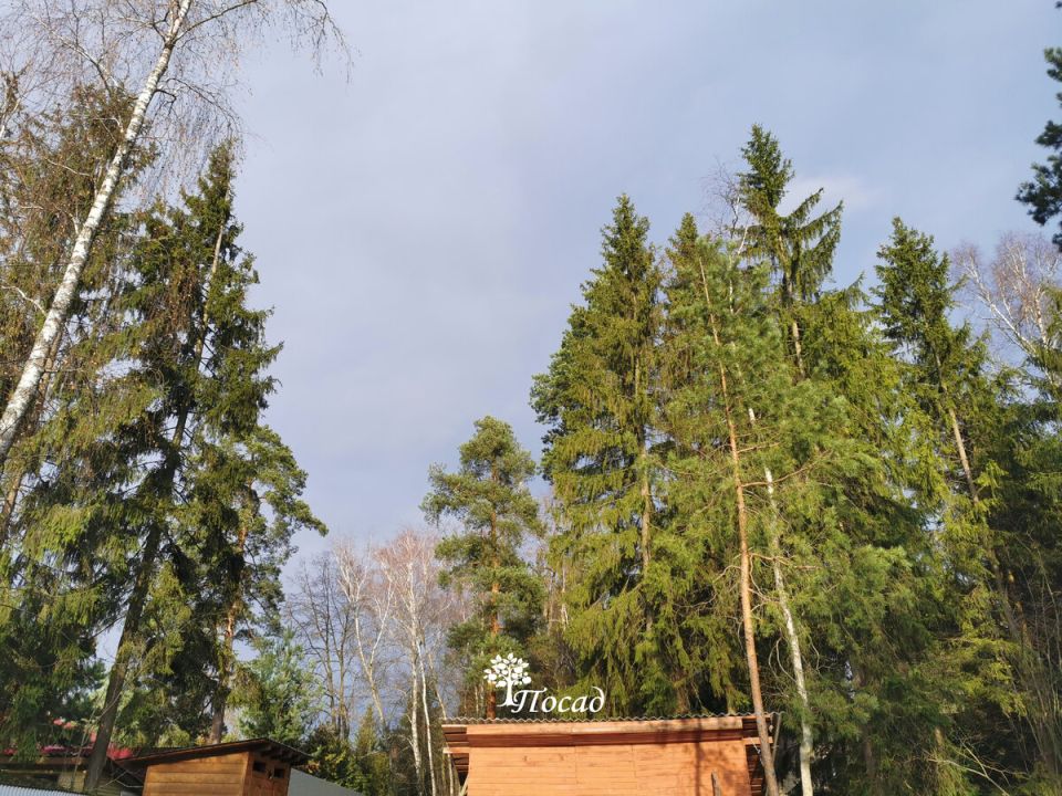 Как использовать бабье лето для завершения садовых дел