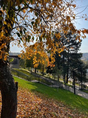 Сегодня в Адыгее переменная облачность, без осадков