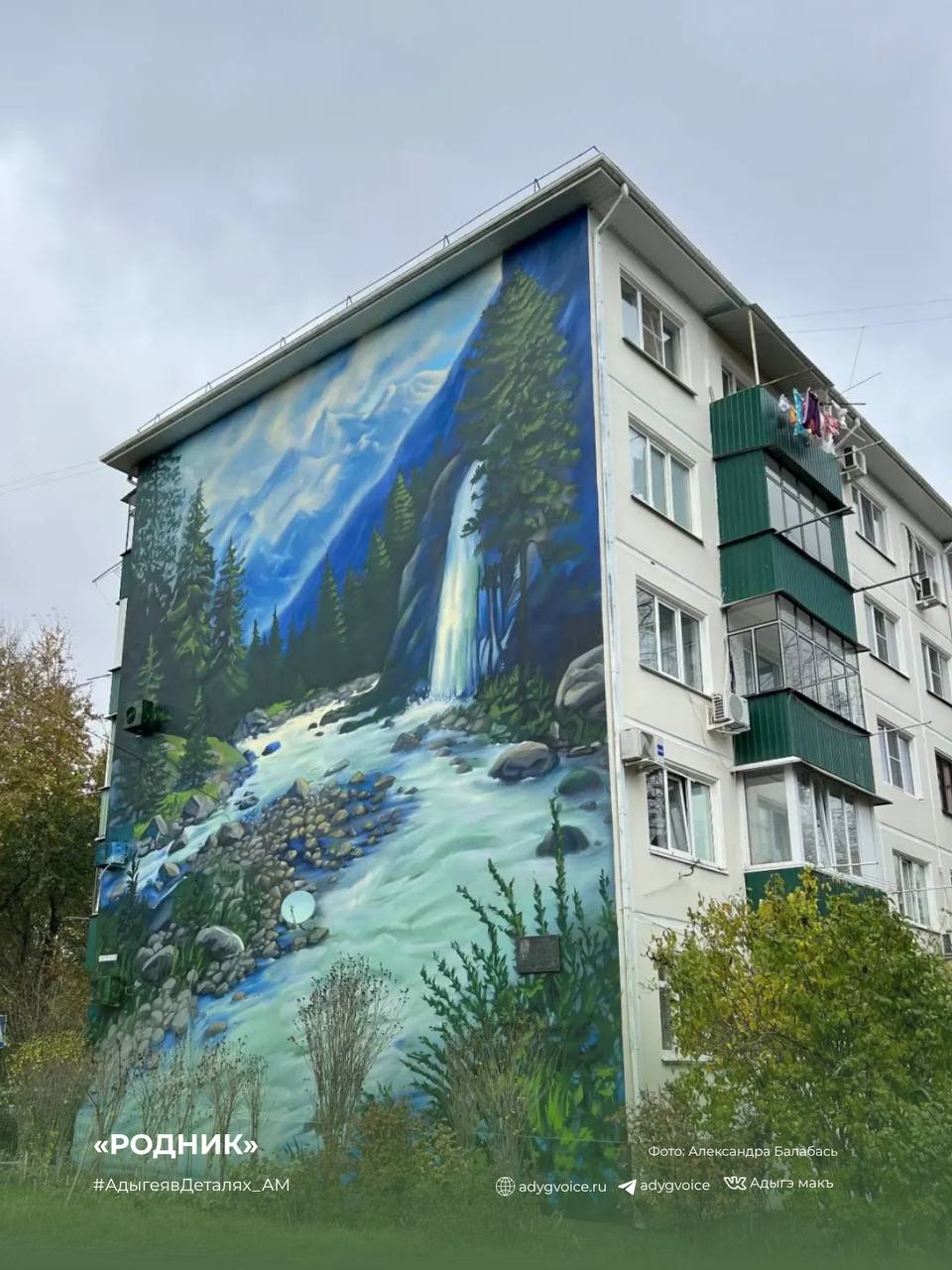 Центральные улицы Майкопа теперь украшают муралы — настоящие произведения искусства на стенах многоквартирных домов! Центральные улицы Майкопа теперь украшают муралы — настоящие произведения искусства на стенах многоквартирных домов!