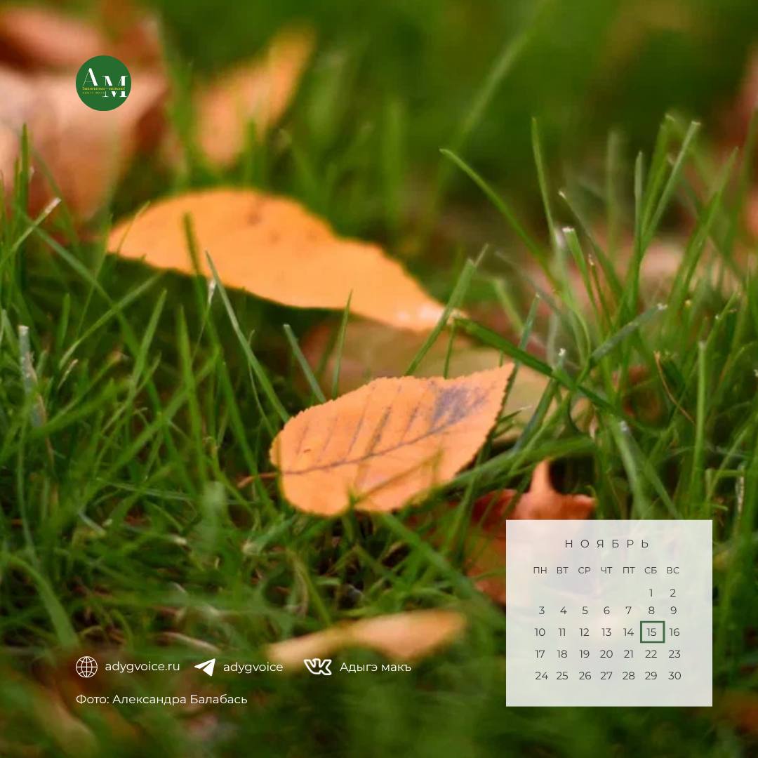 Доброе утро!. 15 ноября в Адыгее ожидается переменная облачность, местами пройдут дожди