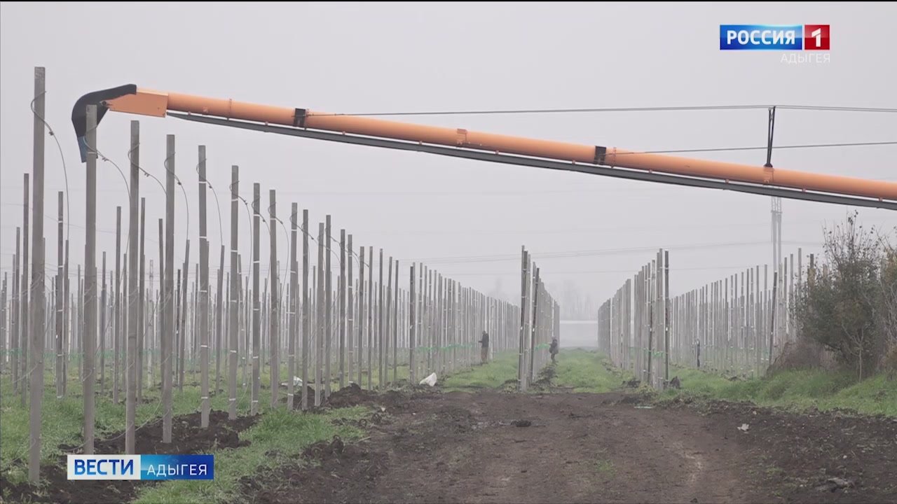 В Гиагиснкои районе Адыгеи планируют реализовать инвестиционный проект по закладке интенсивного яблоневого сада стоимостью 260 млн рублей