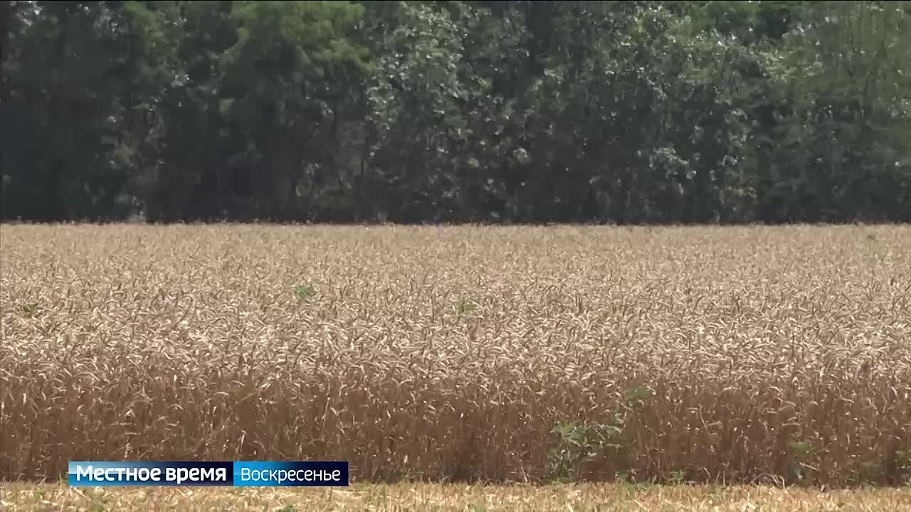 На этой неделе глава Адыгеи на планерном совещании Кабинета министров РА обозначил ряд задач, которые стоят перед органами власти республики