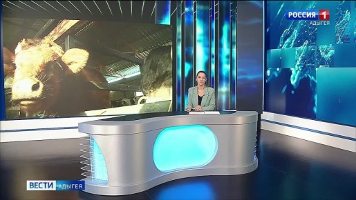 Фермер Заур Нахушев из Кошехабльского района получил в 2023 году от министерства сельского хозяйства региона грант, на средства которого смог расширить свое хозяйство