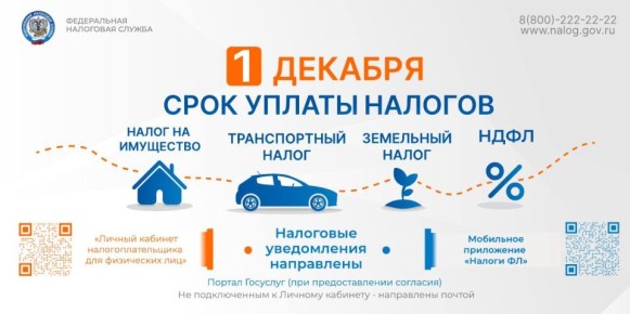Имущественные налоги необходимо погасить до 1 декабря