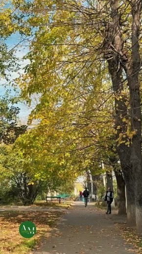 Осень в разных уголках Майкопа прекрасна!