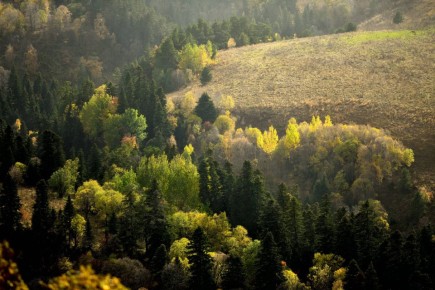 «Сумерки» в горах Адыгеи. Евгения Кривко/Советская Адыгея