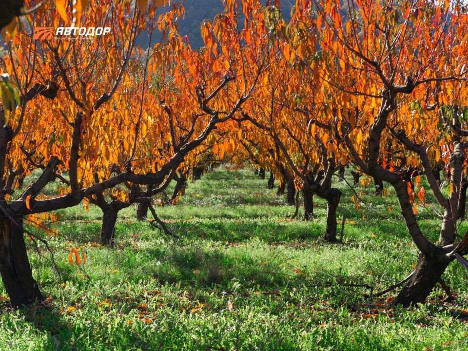 ���������������, ��������, �������� � ���������, ����������� � ������� � ��� �������� ���� � �� ��: ������������ ����� ���������� ������ �-289 � ������������� ���� ��������� ������