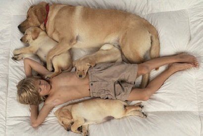 Почему дружба с собакой важна для роста ребенка